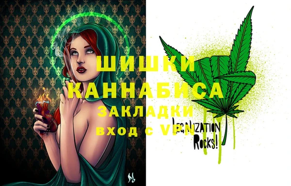 гашик Осинники