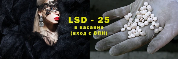 гашик Осинники