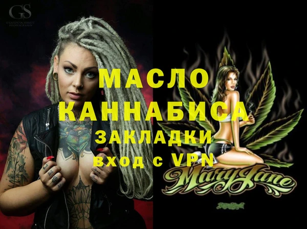 гашик Осинники