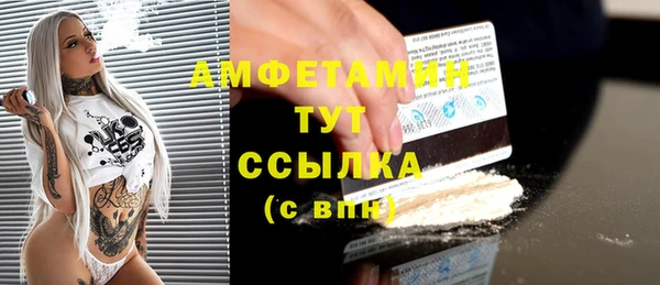 гашик Осинники