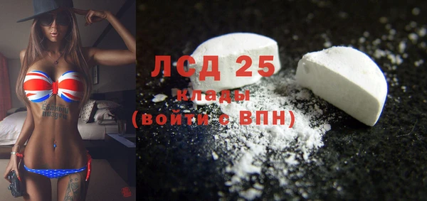 гашик Осинники