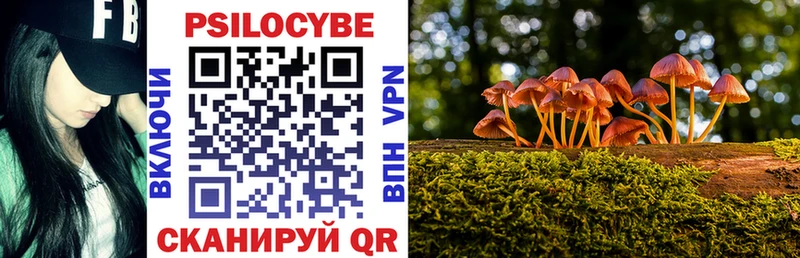 где купить наркоту Нижний Новгород Псилоцибиновые грибы Cubensis