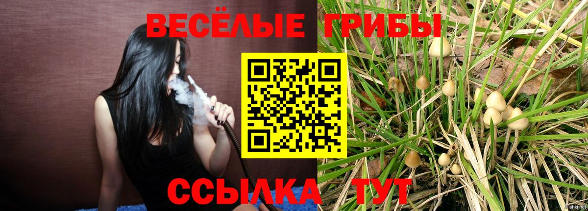 Нижний Новгород  Псилоцибиновые грибы ЛСД  Вход с VPN  Галлюциногенные грибы мухоморы 